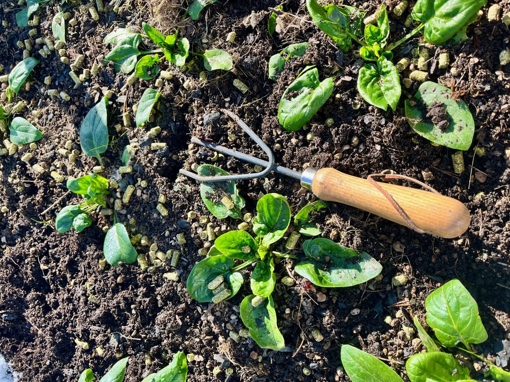 Som man bäddar får man ligga