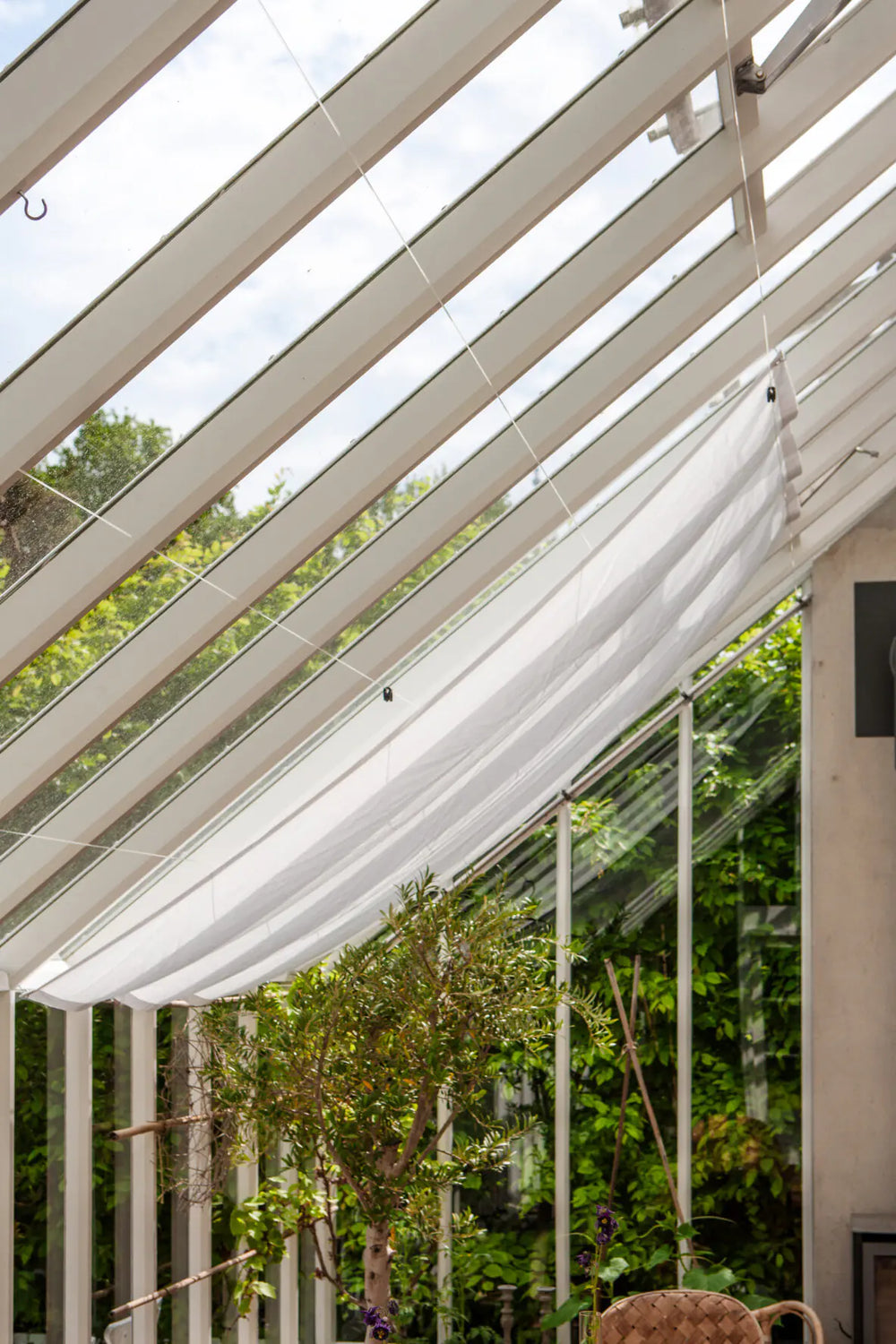 Skapa skugga i växthuset