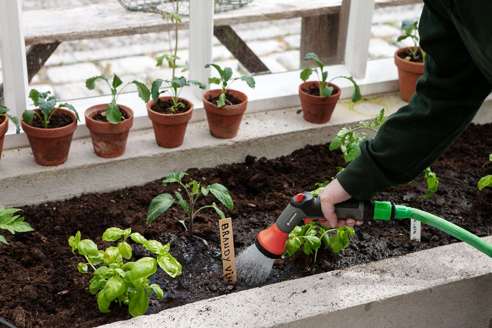 Lyckas med växthusodlingarna