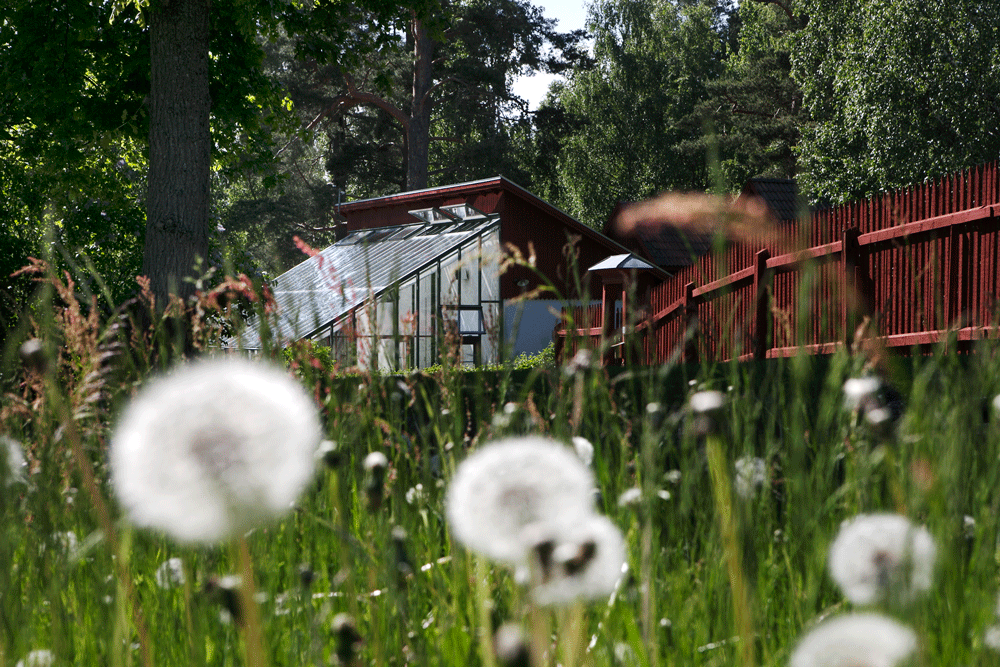 Sommarens utflyktsmål – växthus i kulturhistoriska miljöer