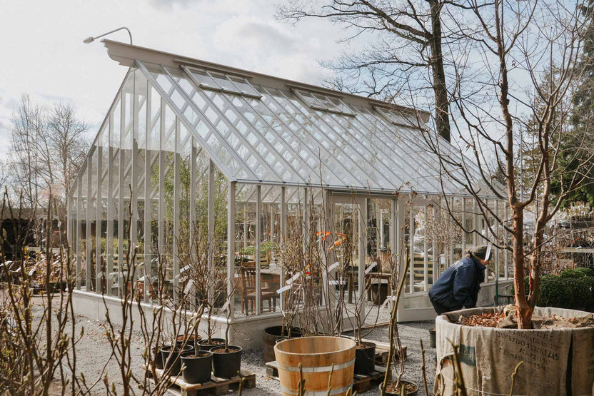 växthus orangeri