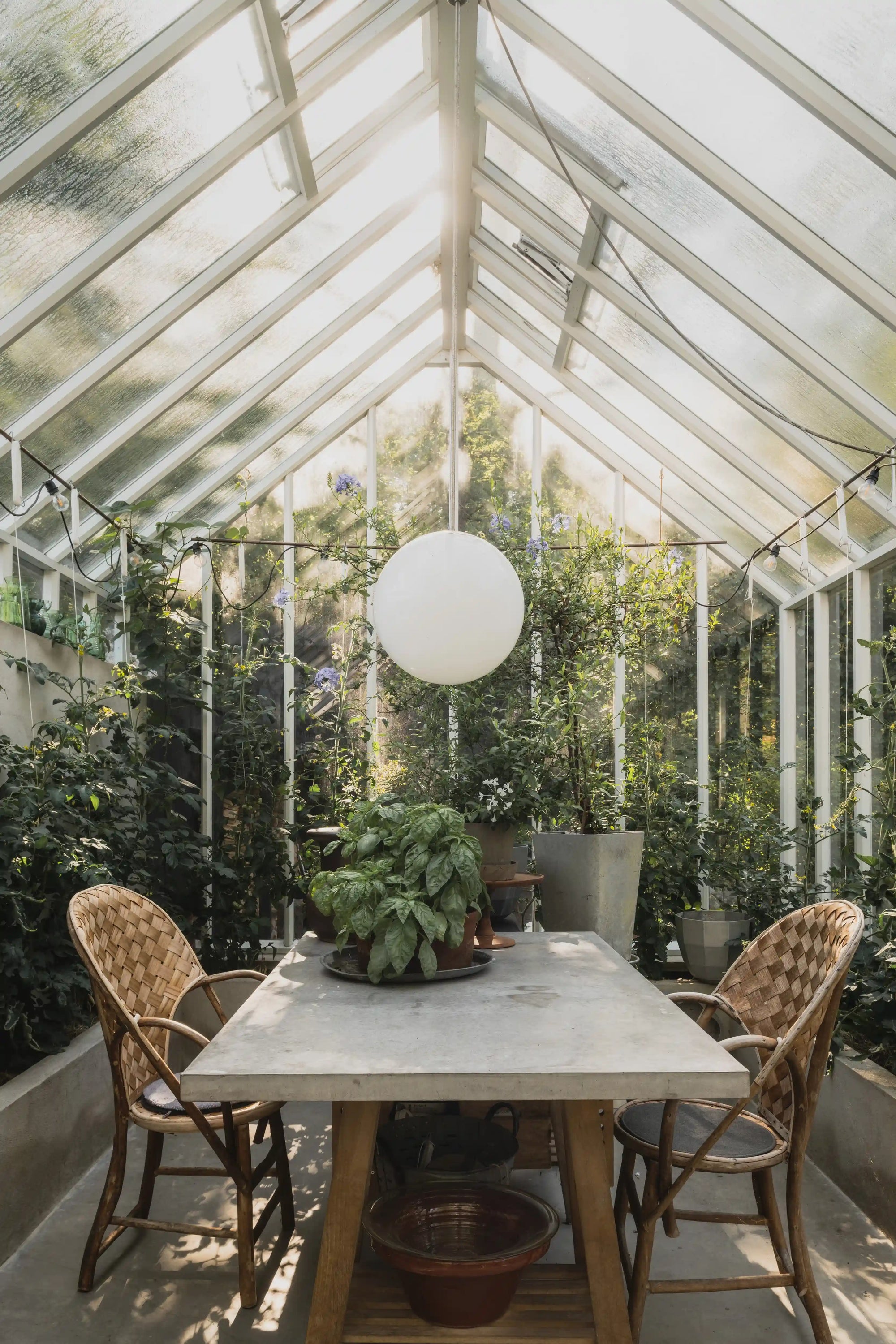 inreda växthus och orangeri i trä 