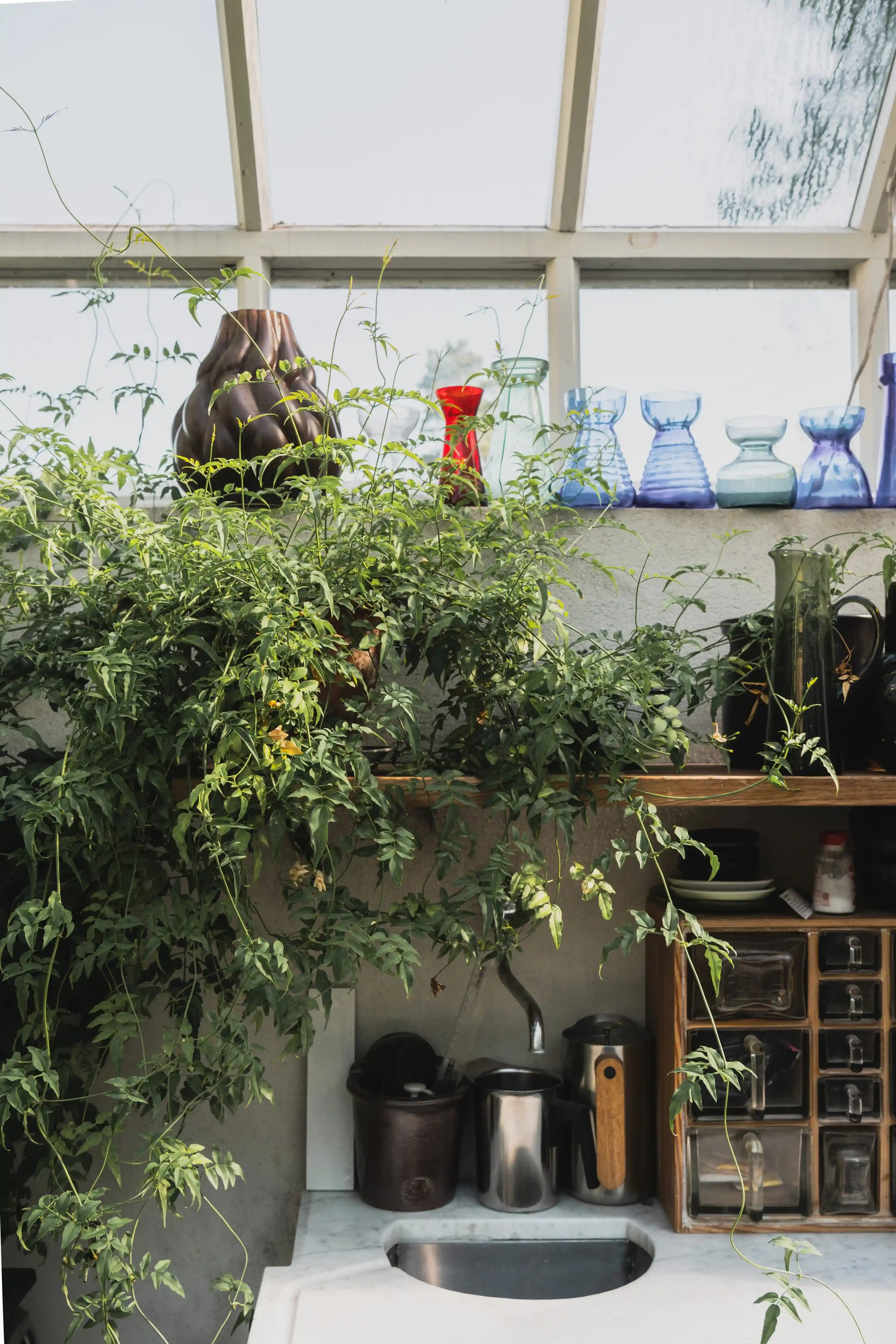 inreda växthus och orangeri i trä 