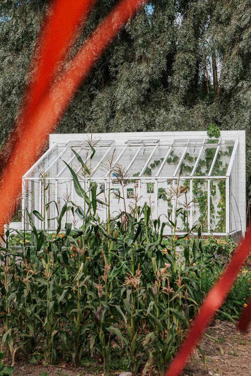 växthus orangeri