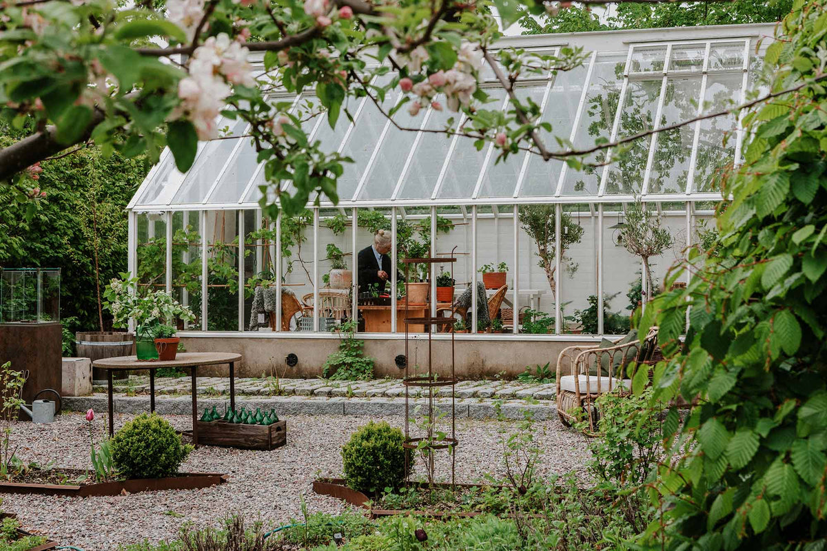 växthus orangeri