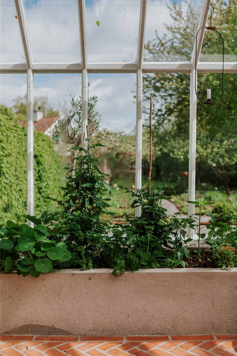växthus orangeri