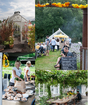 Skördefest, Rosendals trädgård, jazz och mat i spenaten, växthus, orangerier
