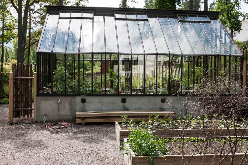 Brunmålat växthus i trä tillverkat av Sweden Green House, sadeltak.