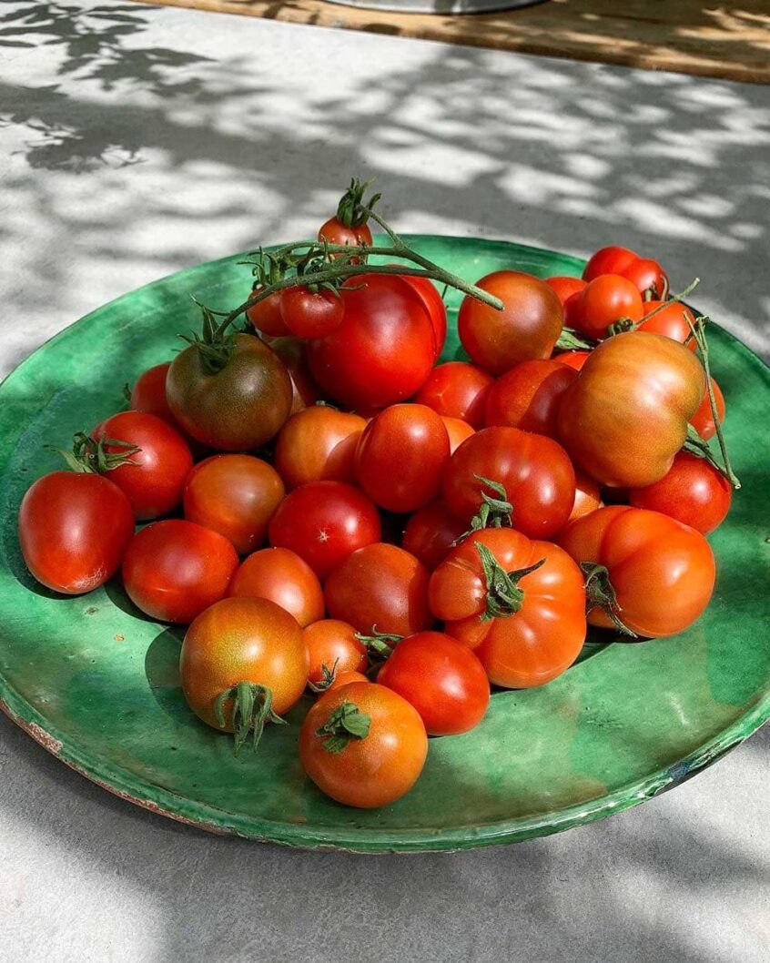 Keramikfat fyllt med tomater.