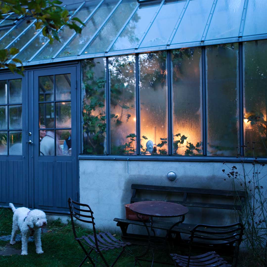 Vit hund framför grått växthus.