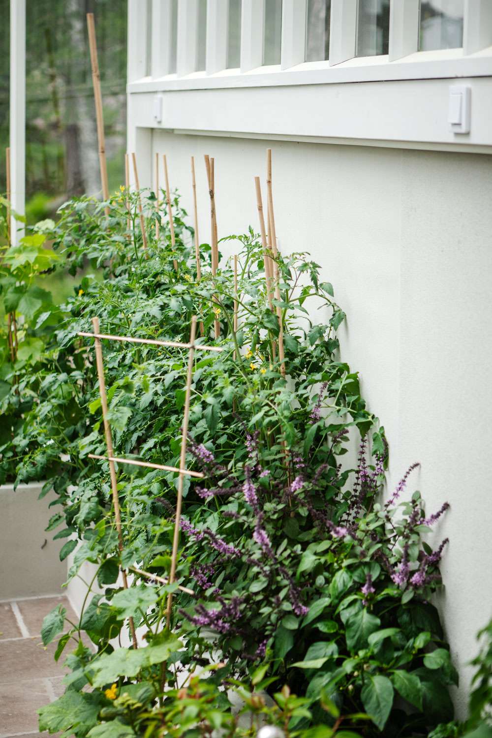 Terrasserad sockel till växthus