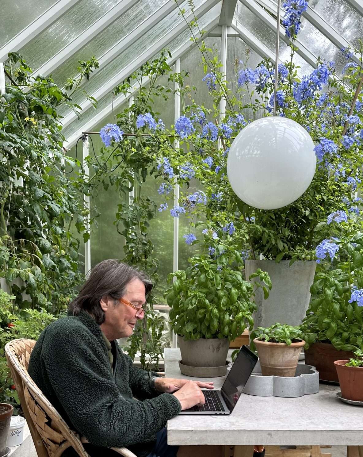 Man arbetar framför dator i växthus.