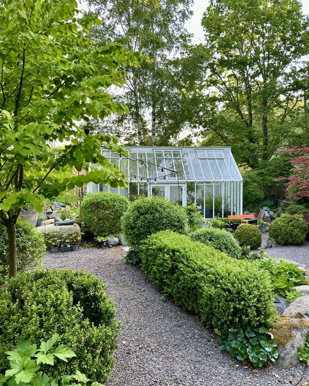 Ett växthus inbäddad i trädgårdsgrönska.