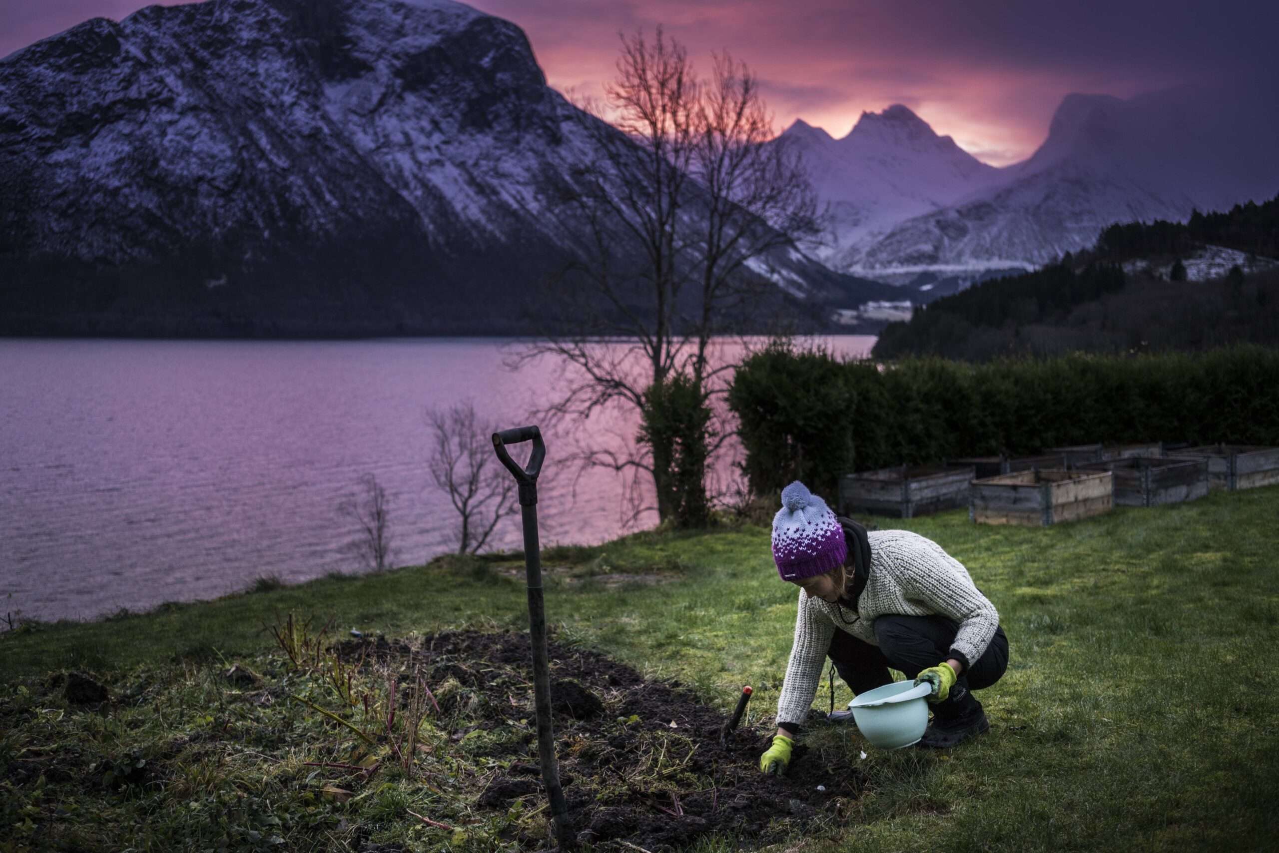 Vi älskar att odla luktärter i växthuset. Nu är boken Luktärt av Cecilia Wingård här.